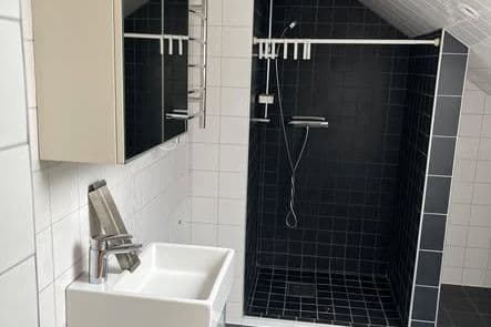 Ljus 1rok nära centrum i Halmstad