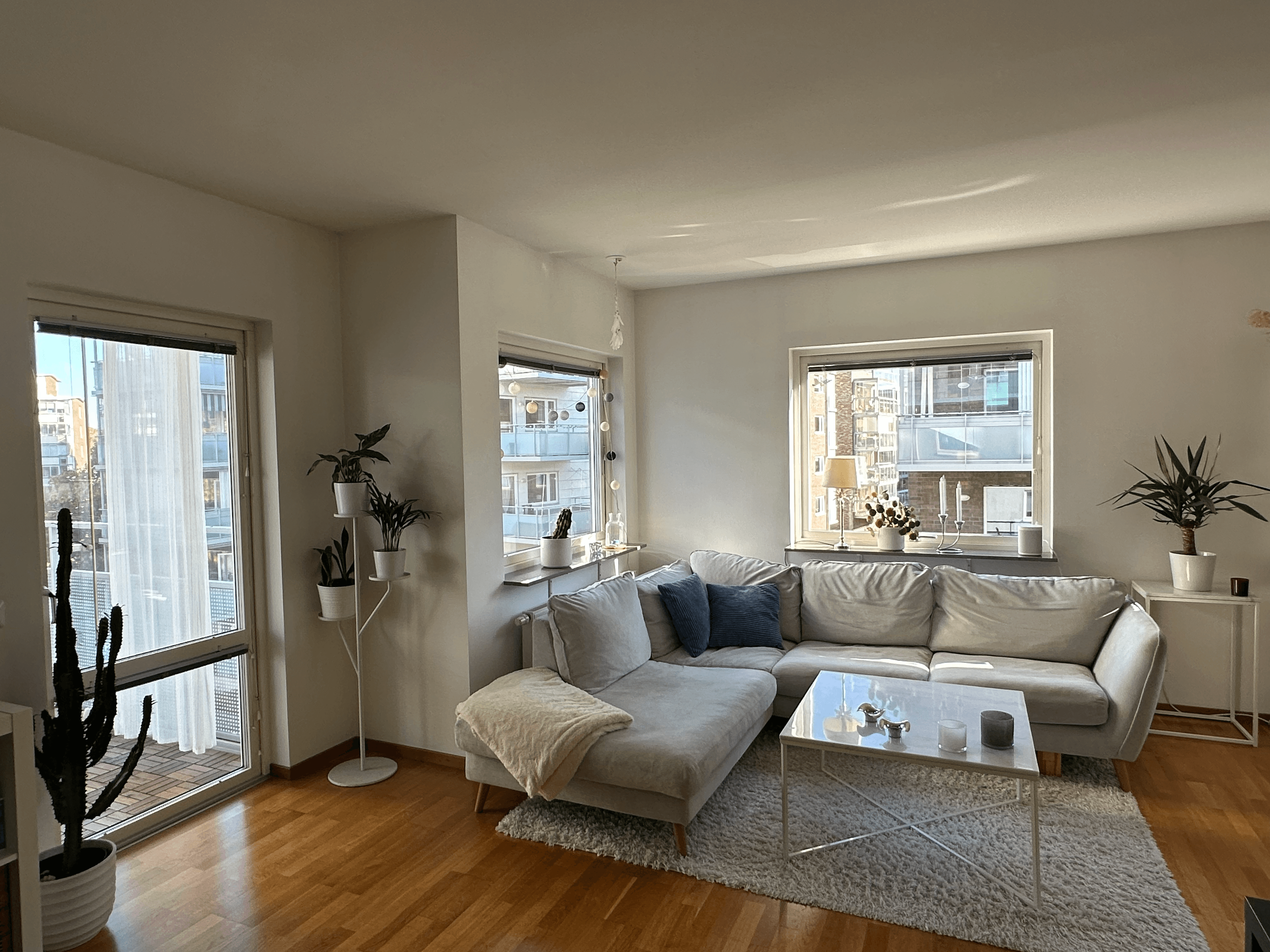 Esaias Thoréns gata